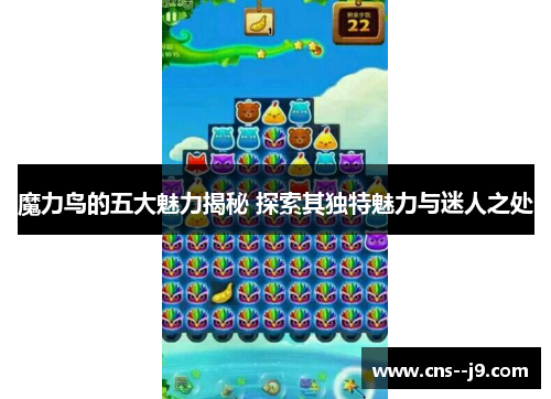 魔力鸟的五大魅力揭秘 探索其独特魅力与迷人之处