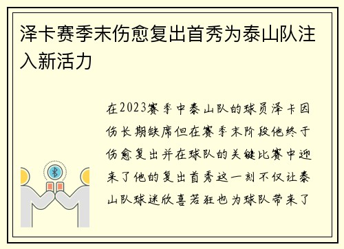 泽卡赛季末伤愈复出首秀为泰山队注入新活力 泽卡赛季末伤愈复出首秀为泰山队注入新活力